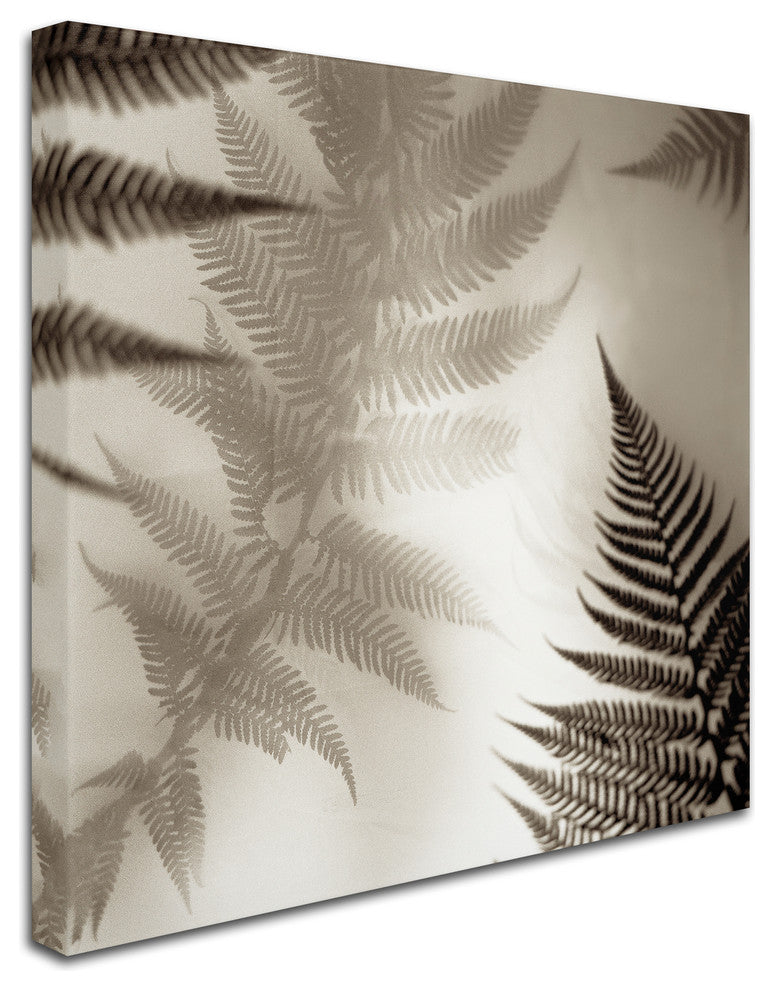 Alan Blaustein ''Florison 65'' Canvas Art, 18x18