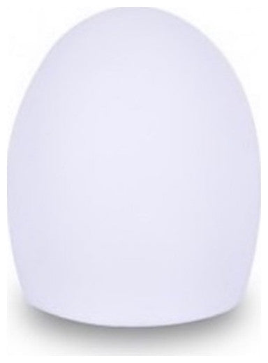 Egg LED Table Lamp