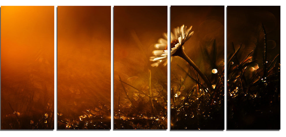 White Wild Flower at Sunset After Rain, Floral Canvas Print, 60"x28", 5 Panels
