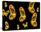 Fractal Butterflies on Dark Background, Floral Canvas Art Print, 60"x28"