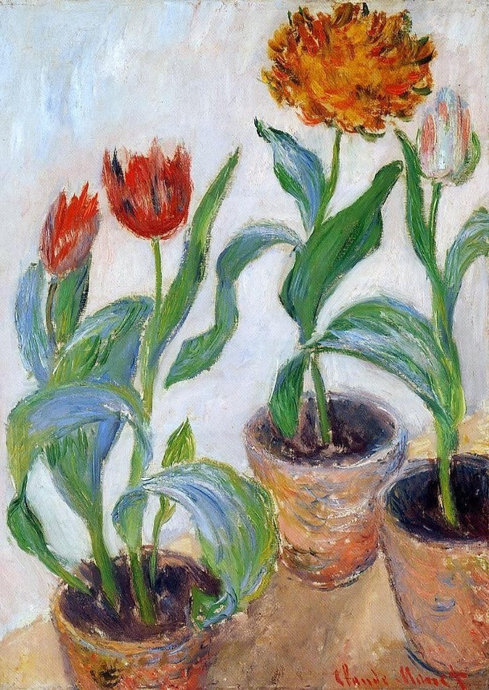 Claude Oscar Monet Three Pots of Tulips Premium Canvas Print