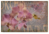 "Orchid I" by Cora Niele, Canvas Art, 30"x47"