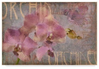 "Orchid I" by Cora Niele, Canvas Art, 30"x47"