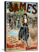 The ?James? Bicycle, 19"X30"