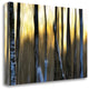 "The Forest At Dawn" By Marvin Pelkey, Giclee Print on Gallery Wrap Canvas
