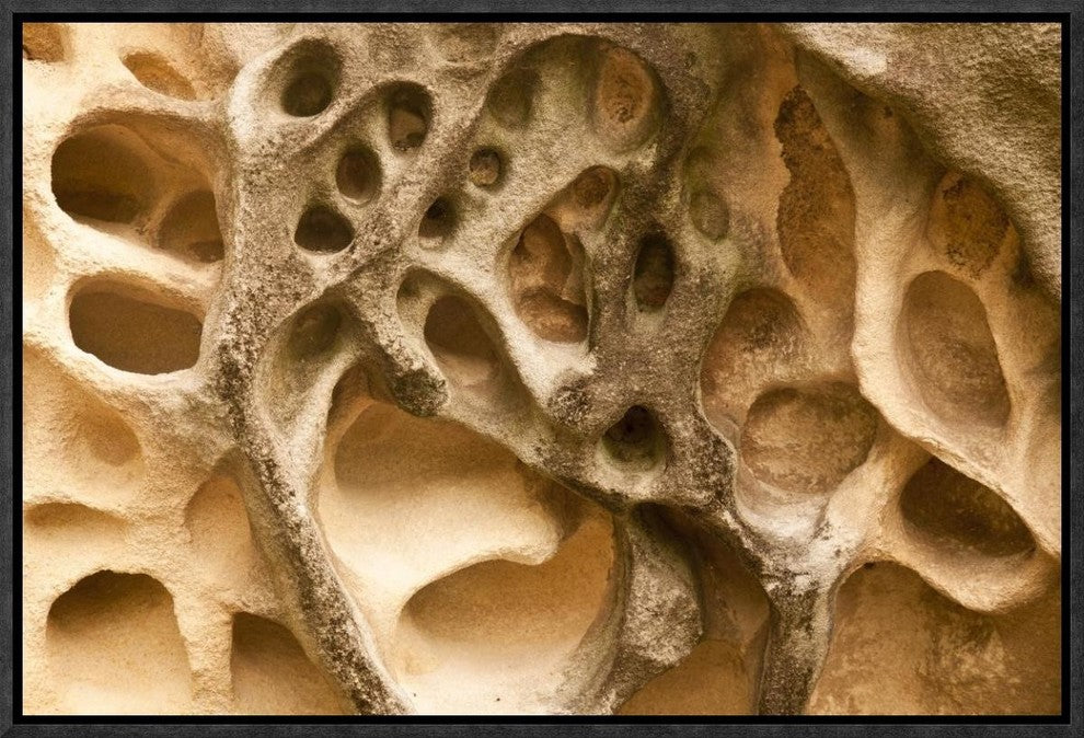 Cavernous Weathering In Sandstone Rock, Sydney, Australia, 18"x12"