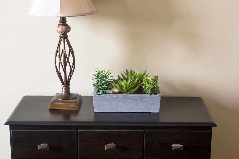 Succulent Garden With Concrete Planter, Green