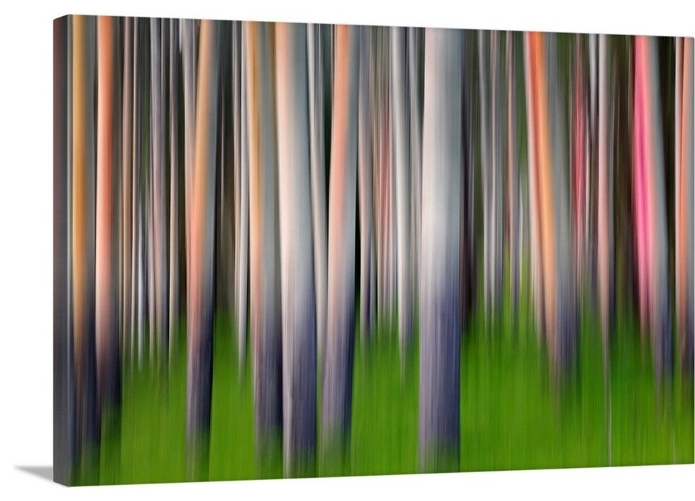 "Evening Aspen" Wrapped Canvas Art Print, 24"x16"x1.5"