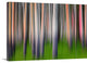 "Evening Aspen" Wrapped Canvas Art Print, 24"x16"x1.5"