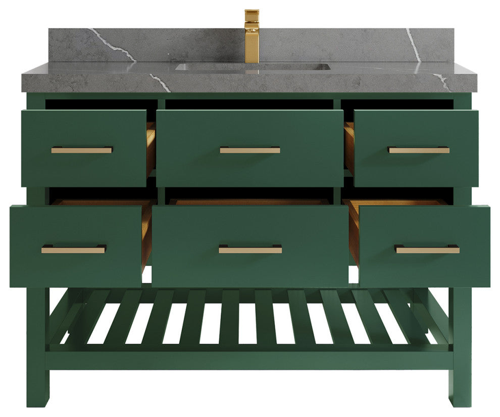 Parker 48 Single Sink Bath Vanity in Lafayette Green  2" Piatra Gray