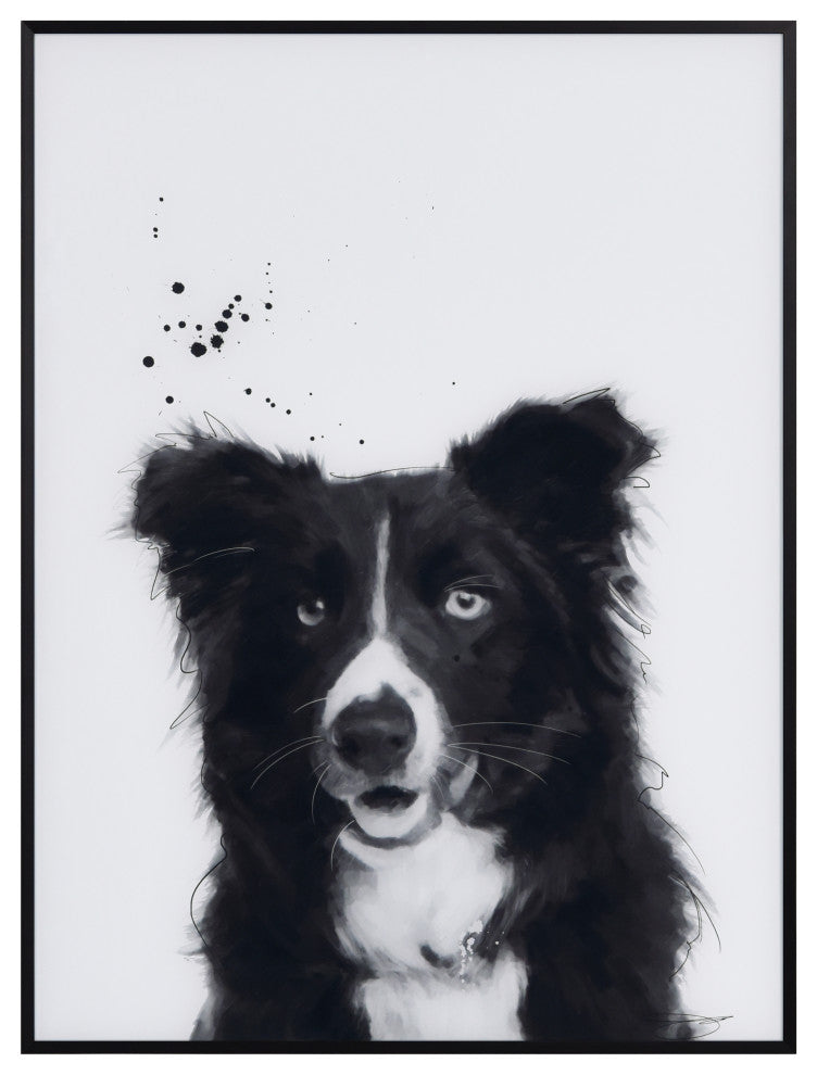 "Border Collie" Black and White Pet Art on Printed Glass with Anodized Frame