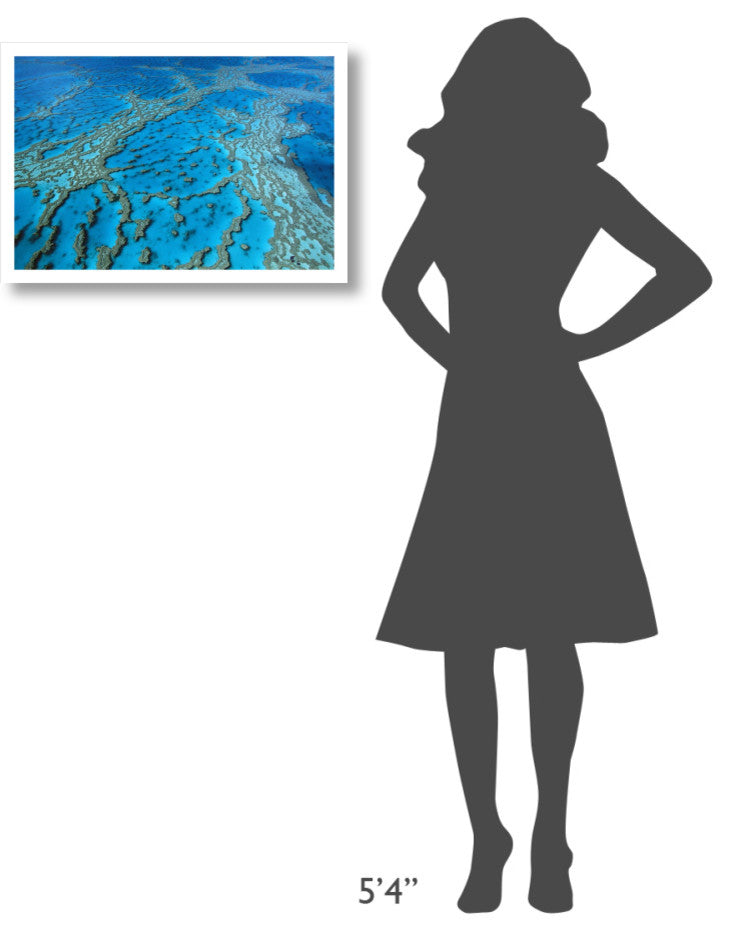 "Coral formation, Hardy Reef, Great Barrier Reef, Queensland" Paper Art, 26"x18"