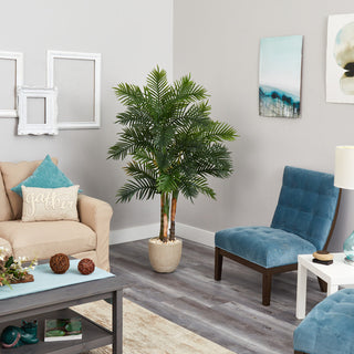 Lifestyle image with palm placed in a living room context.