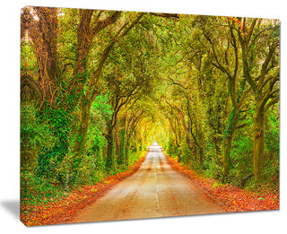 "Fall Greenery and Road Straight Ahead" Forest Wall Art, 20"x12"
