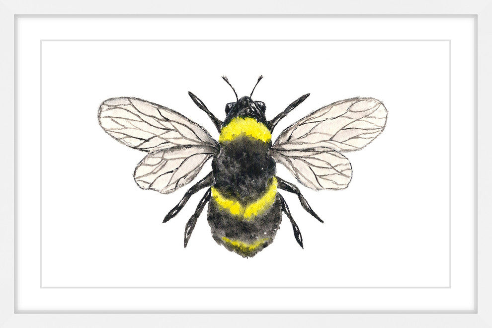 Marmont Hill, "Bumble Bee" by Thimble Sparrow Framed Painting Print, 24x16