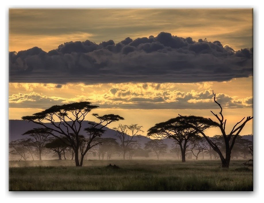 Good Evening Tanzania' Canvas Wall Decor