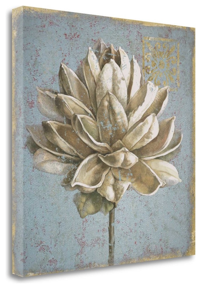"Seed Pod I No Words" By Beth Grove, Giclee Print on Gallery Wrap Canvas