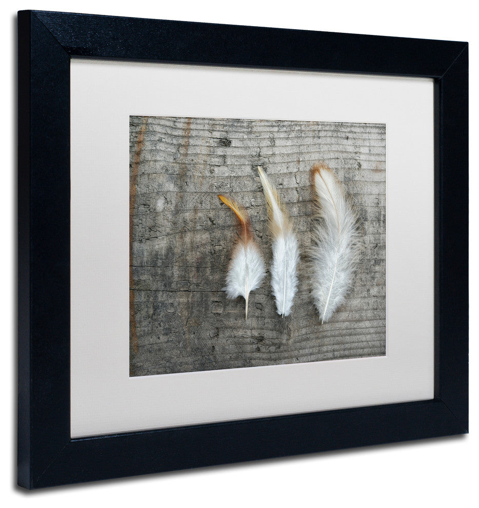 Cora Niele 'Three Feathers on Wood' Matted Framed Art