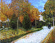 Vincent Van Gogh The Public Park at Arles Wall Decal