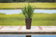 Alto-2 Piece Wicker Planter Set