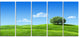 Calm Meadow with Single Tree, Landscape Canvas Art Print, 60"x28", 5 Panels