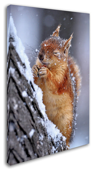 Ervin Kobakci 'Winter' Canvas Art, 19 x 12