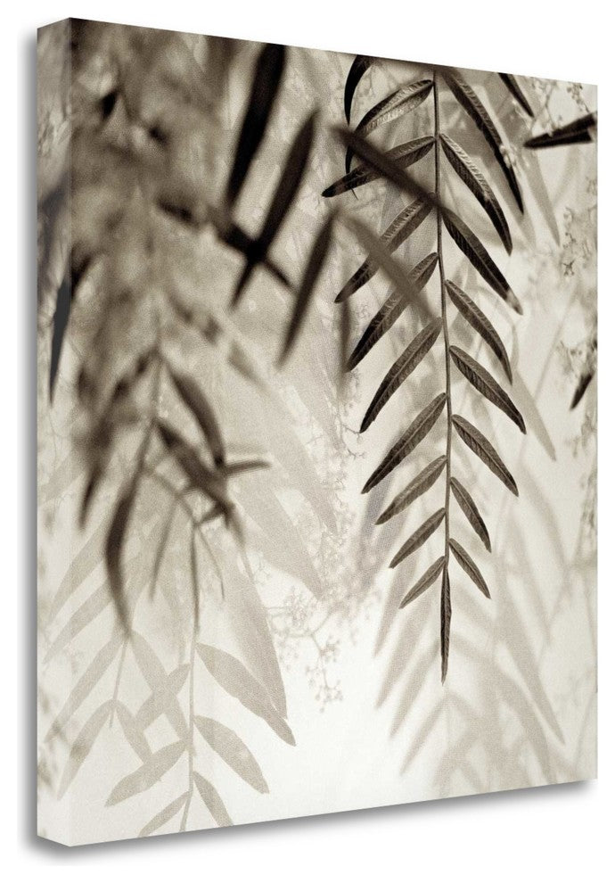 "Florison - 56" By Alan Blaustein, Giclee Print on Gallery Wrap Canvas