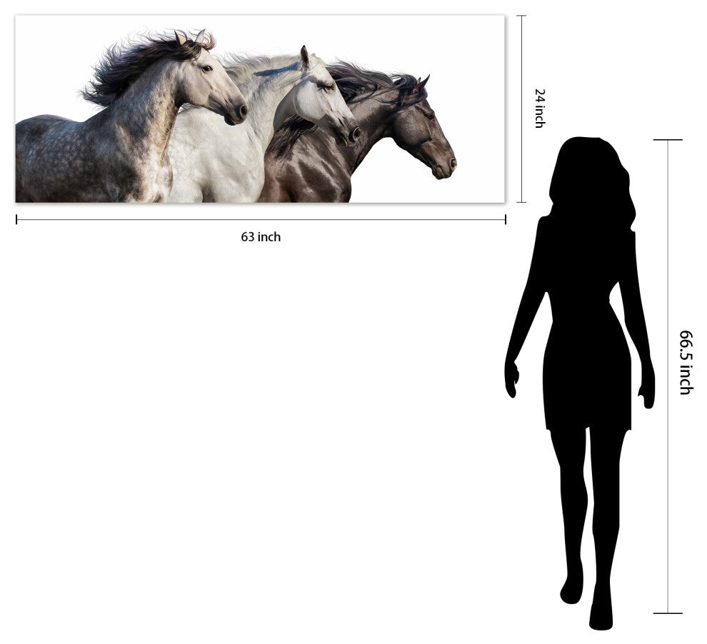 Horse Glass Wall Art Frameless Free Floating Tempered Glass Print, 24" x 63"