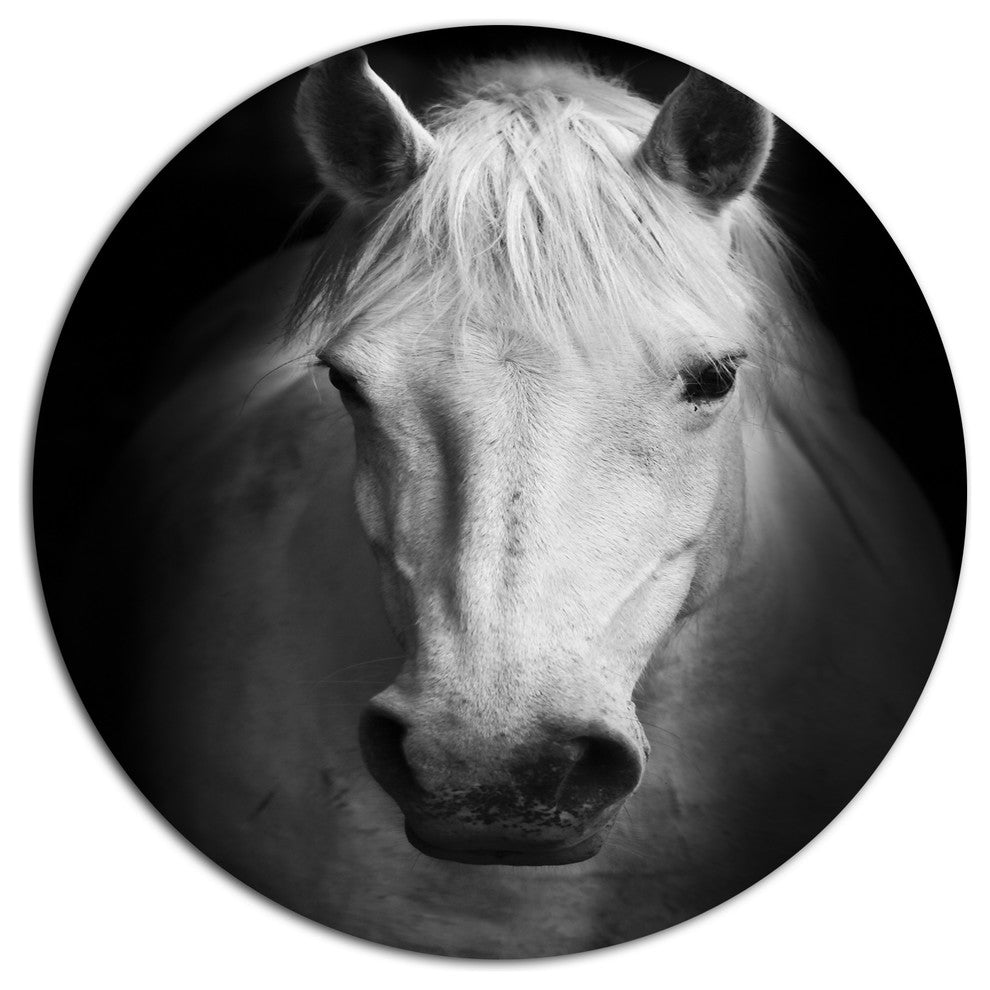 White Horse Black And White, Animal Disc Metal Artwork, 23"