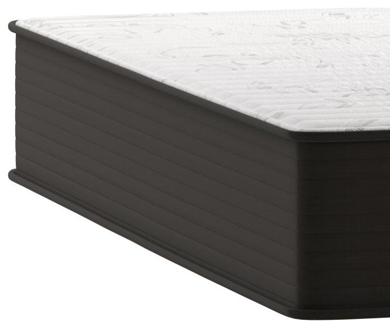 Dream 12 Inch Hybrid Mattress in a Box - -Twin