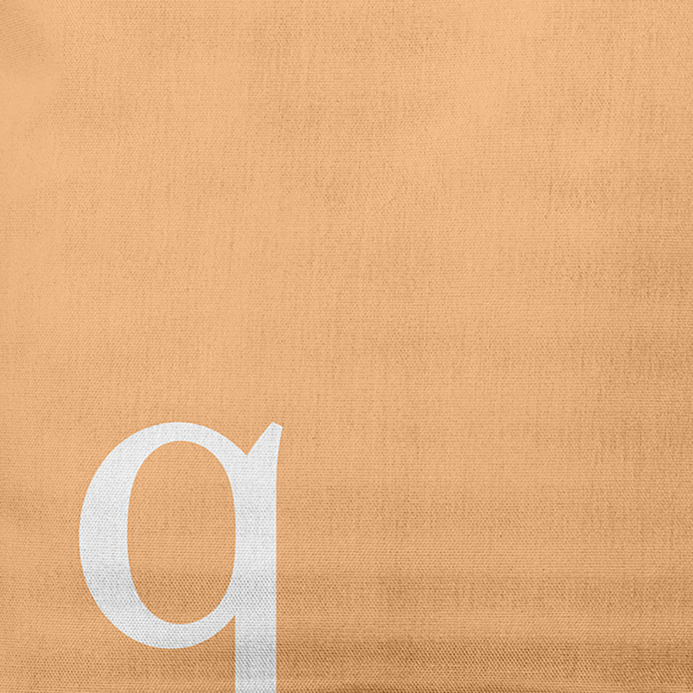 26"x26" Modern Monogram Decorative Throw Pillow, Pale Gold