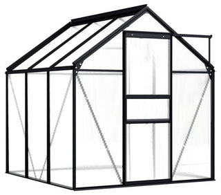 vidaXL Greenhouse Patio Grow House Outdoor Green House Anthracite Aluminum
