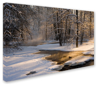 Robin Eriksson 'The First Light' Canvas Art, 22x32
