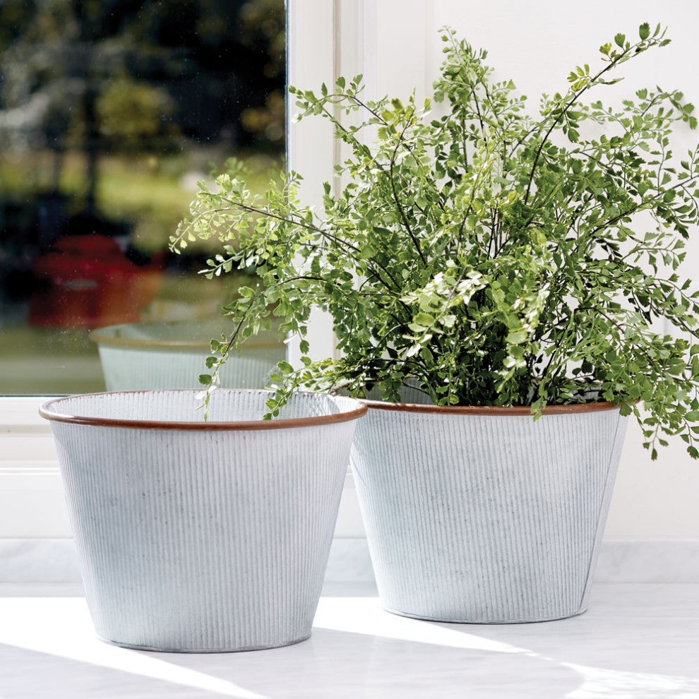 Faux Maiden Hair Fern Drop-In Plant