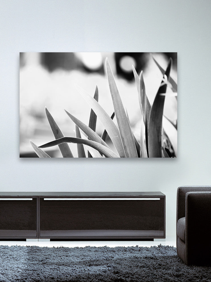 Marmont Hill, "Gentle" by Morgan Hartley Painting Print on Wrapped Canvas, 45x30
