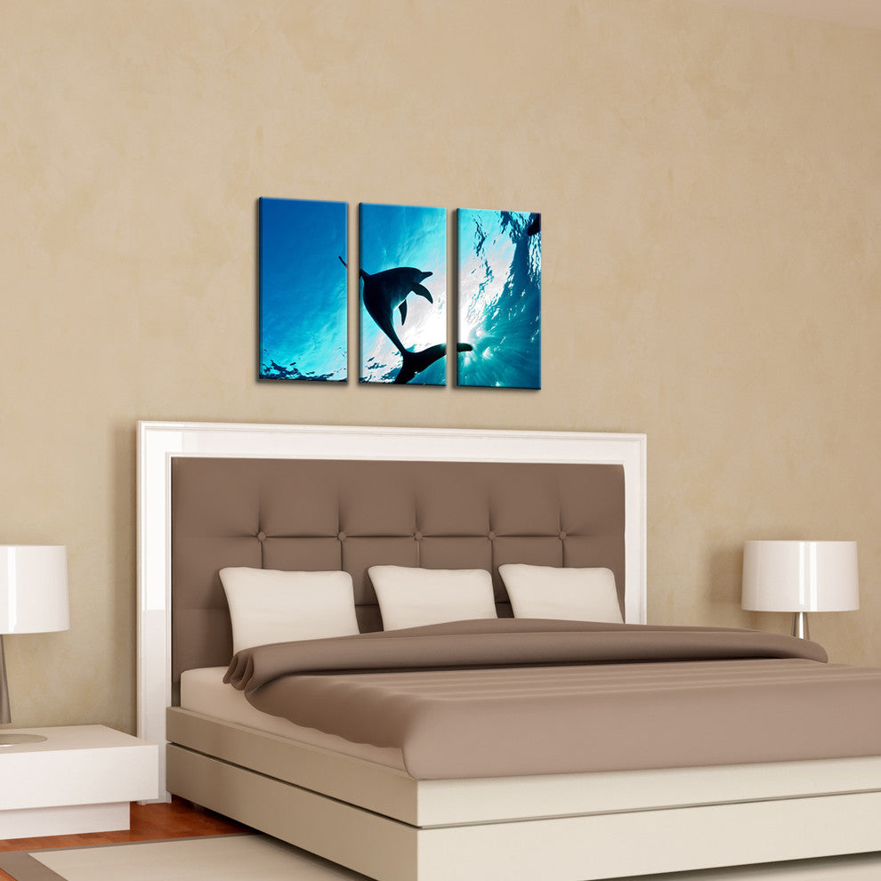 Ready2hangart Christopher Doherty Photography 'Dolphin' 3-PC Canvas Art Set