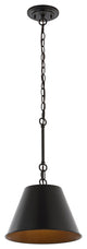 Harper Industrial Farmhouse Iron LED Pendant, Oil Rubbed Bronze, 12"