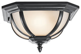 Outdoor Ceiling 2-Light, Black