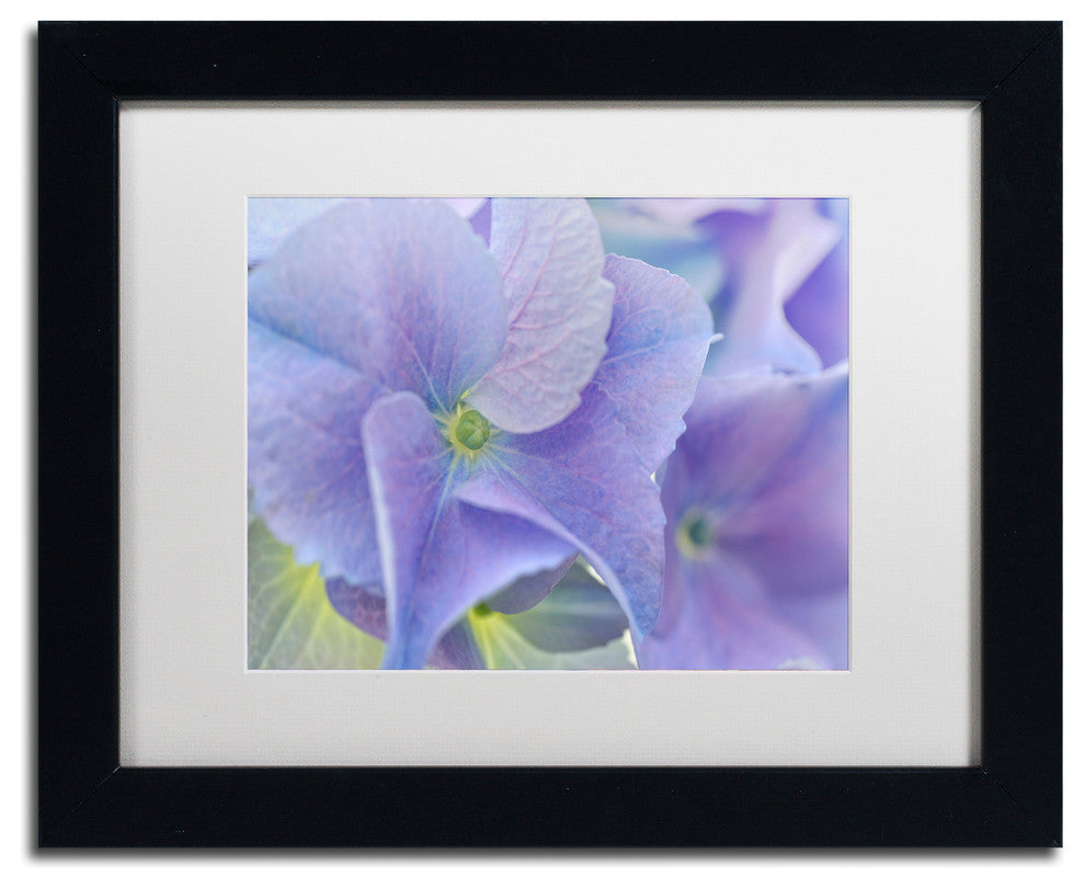 Cora Niele 'Blue Hortensia' Matted Framed Art