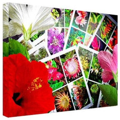 Tropical Flowers Canvas Wall Art