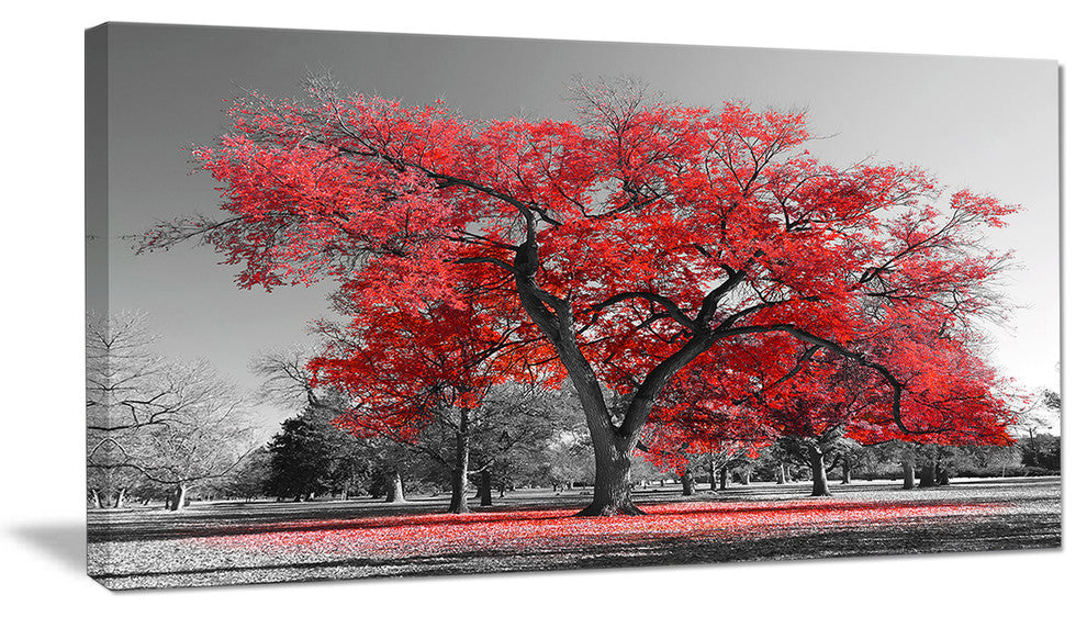 Big Red Tree on Foggy Day, Landscape Canvas Art Print, 40x20