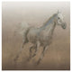 "Stallion I on Leather" Digital Paper Print by James Wiens, 42"x42"