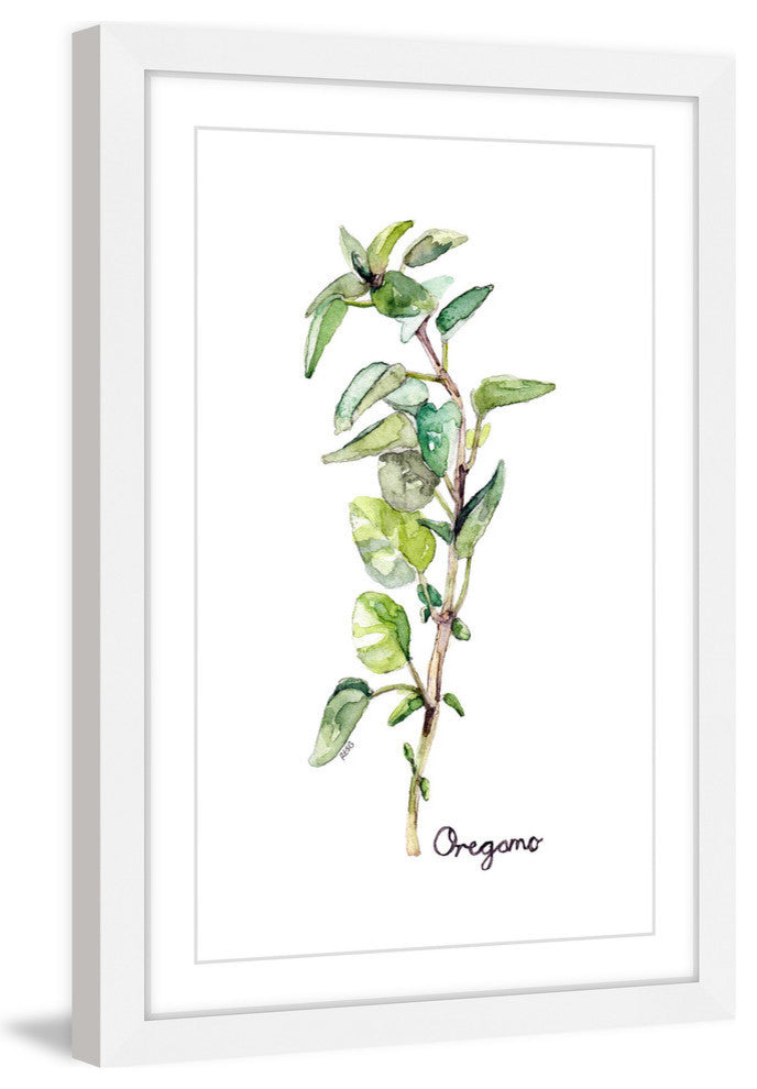 "Herb Oregano" Framed Print by Rachel Byler