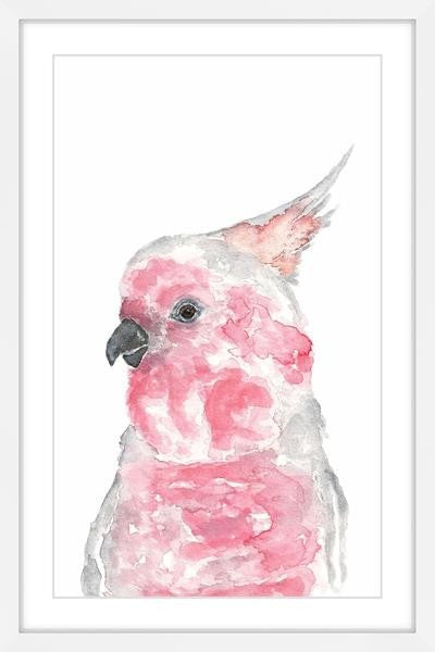 "Major Mitchell's Cockatoo II" Framed Painting Print, 12"x18"