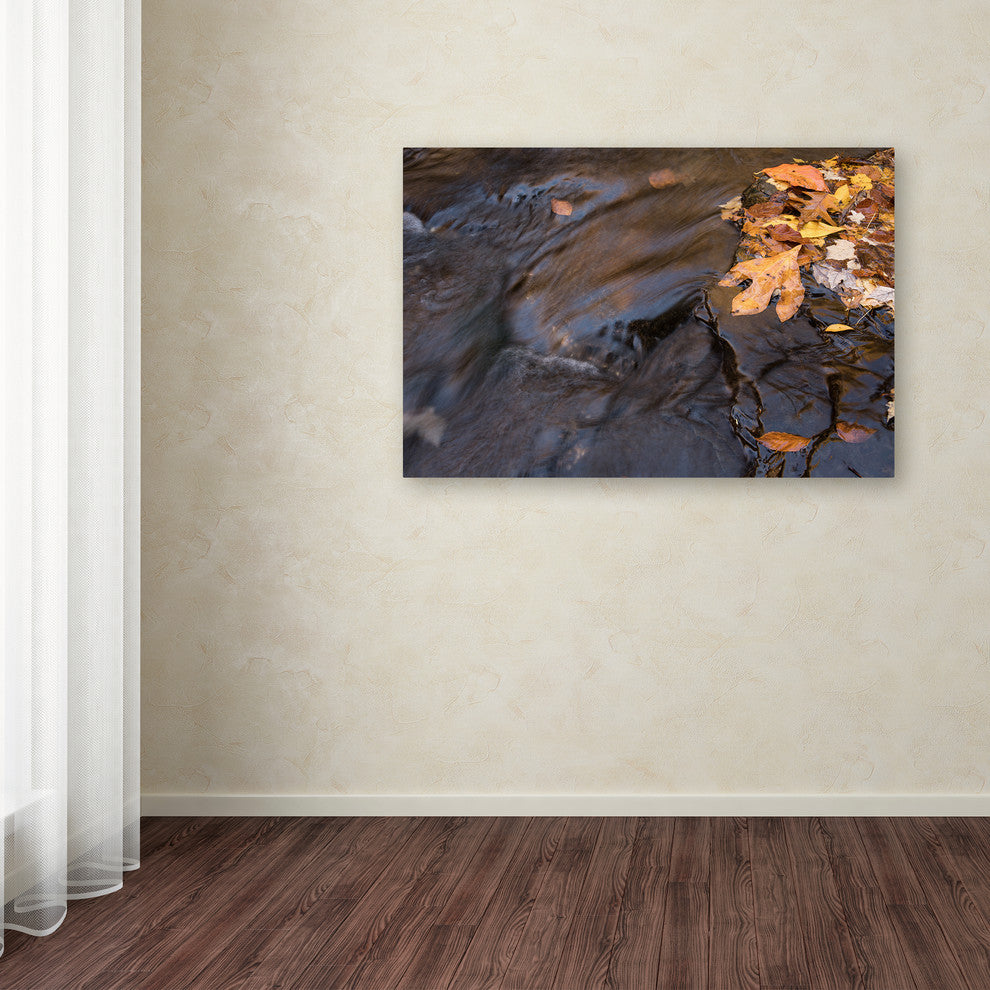 Jason Shaffer 'Peasley Hollow' Canvas Art, 47x30
