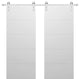 Double Barn Door 72 x 96, Planum 0770 Painted White, Silver 13FT