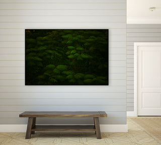 "Leaves" CF Print, 32"x24"