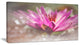Pink Lotus on Abstract Background, Floral Canvas Art Print, 32"x16"