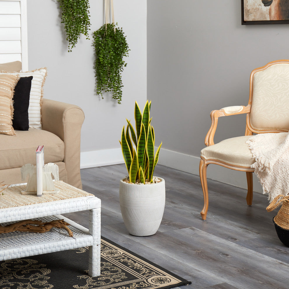 30" Sansevieria Artificial Plant, White Planter