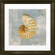 12"x12" Listen To The Sea Matted Framed Art